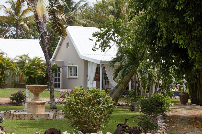 Daiquiri FINAL NERON 26.jpg